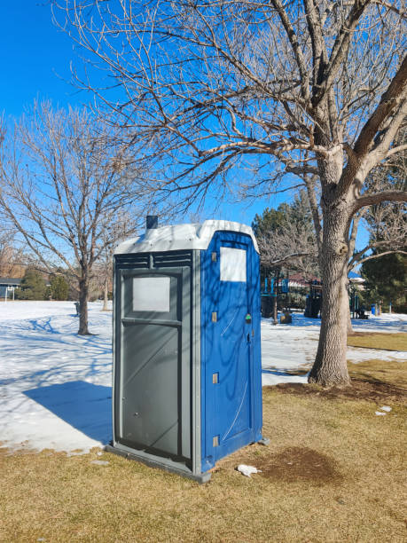 Best Portable Toilets with Baby Changing Stations in Palmyra, WI